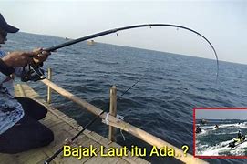 Pemancing Bertopeng Terbaru 2024