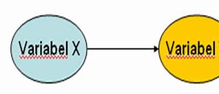 Variabel X1 Itu Apa